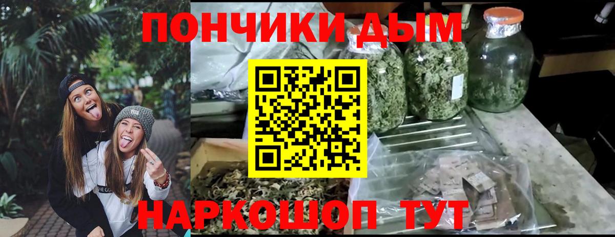 Марихуана планчик  Вход с VPN  Курчалой  Шишки марихуана SATIVA & INDICA  Бошки марихуана Amnesia 